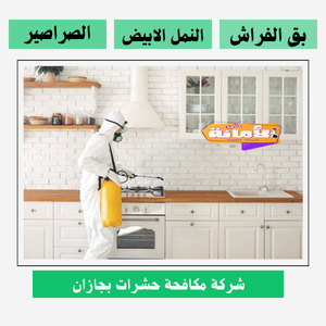 افضل شركة مكافحة حشرات بجازان