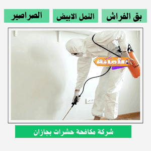 افضل شركة مكافحة حشرات بجازان