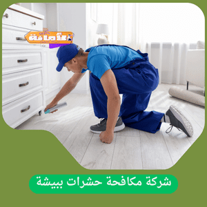 ارخص شركة رش مبيدات ببيشة