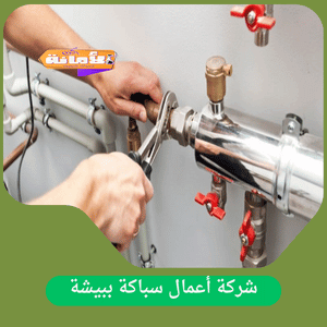 شركة اعمال سباكة ببيشة 