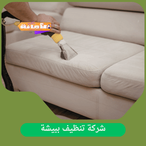 ارخص شركة تنظيف ببيشة
