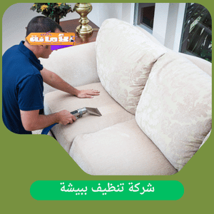 ارخص شركة تنظيف ببيشة