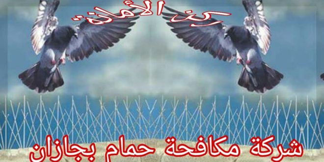 شركة مكافحة حمام بجازان