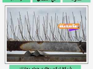 شركة تركيب طارد حمام بجازان