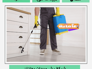 ارخص شركة رش مبيدات بجازان