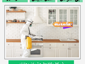 افضل شركة مكافحة حشرات بجازان