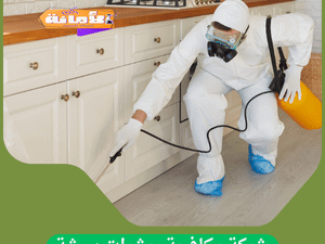 ارخص شركة رش مبيدات ببيشة