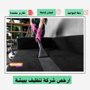 ارخص شركة تنظيف ببيشة