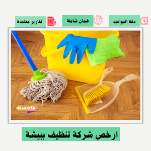 ارخص شركة تنظيف ببيشة
