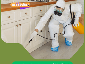 شركة مكافحة حشرات بالعيدابي