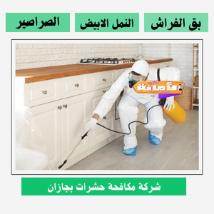 ارخص شركة رش مبيدات بجازان