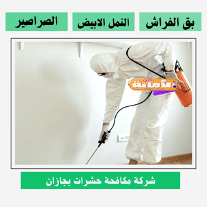 ارخص شركة رش مبيدات بجازان