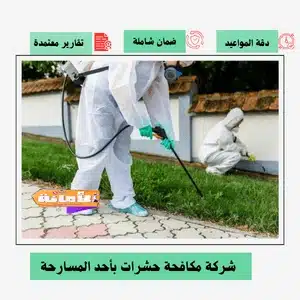 شركة مكافحة حشرات بأحد المسارحة