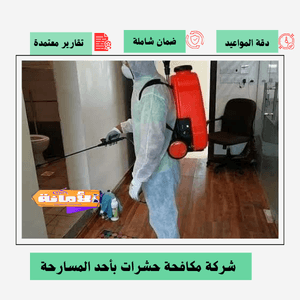 شركة مكافحة حشرات بأحد المسارحة