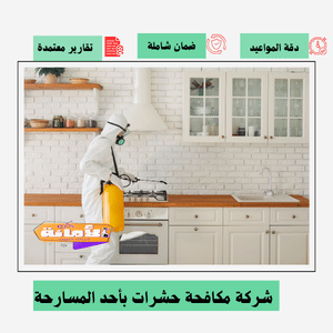 شركة مكافحة حشرات بأحد المسارحة